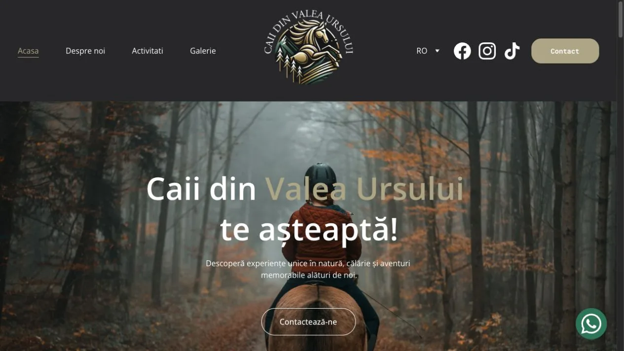 Website for tourism services in Maramureș, Romania